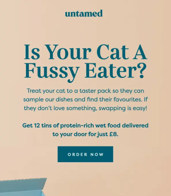 An email example from Untamed.