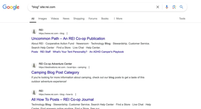 A site search on REI.com.