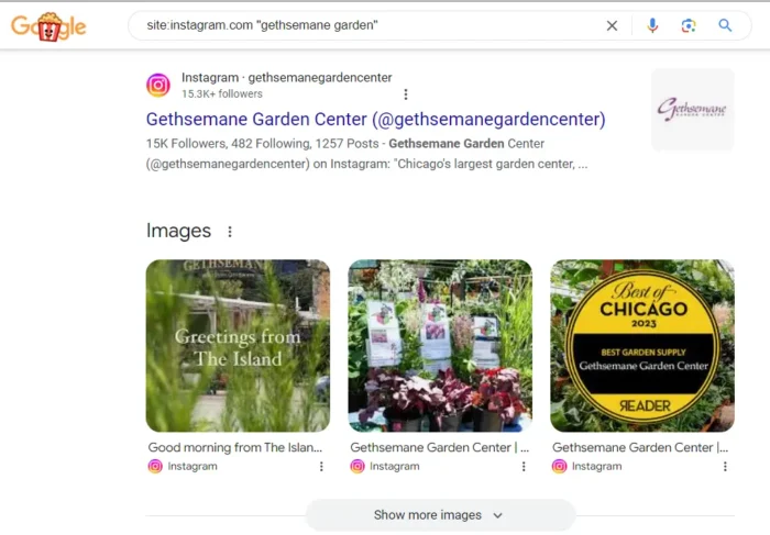 An instagram site search on Google.