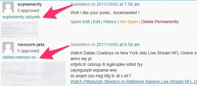 comment spam 1