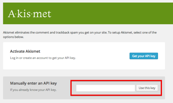 manually enter an api key