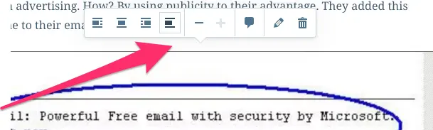 The WordPress interface.
