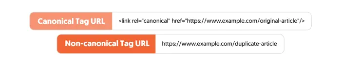 Canonical tag examples.
