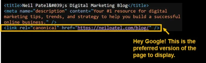What a canonical tag looks like in code.