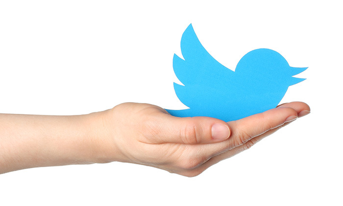 twitter seo