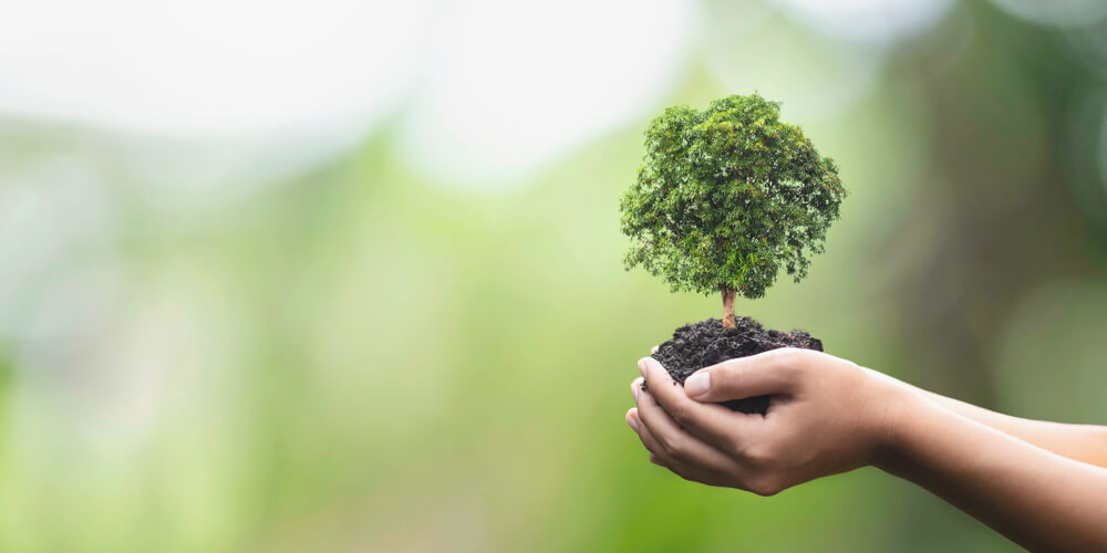 identificando açõesde greenwashing
