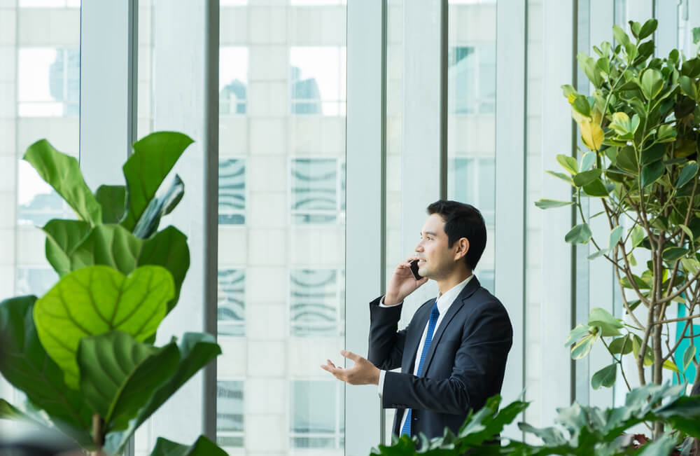 o que é o greenwashing no meio dos negócios