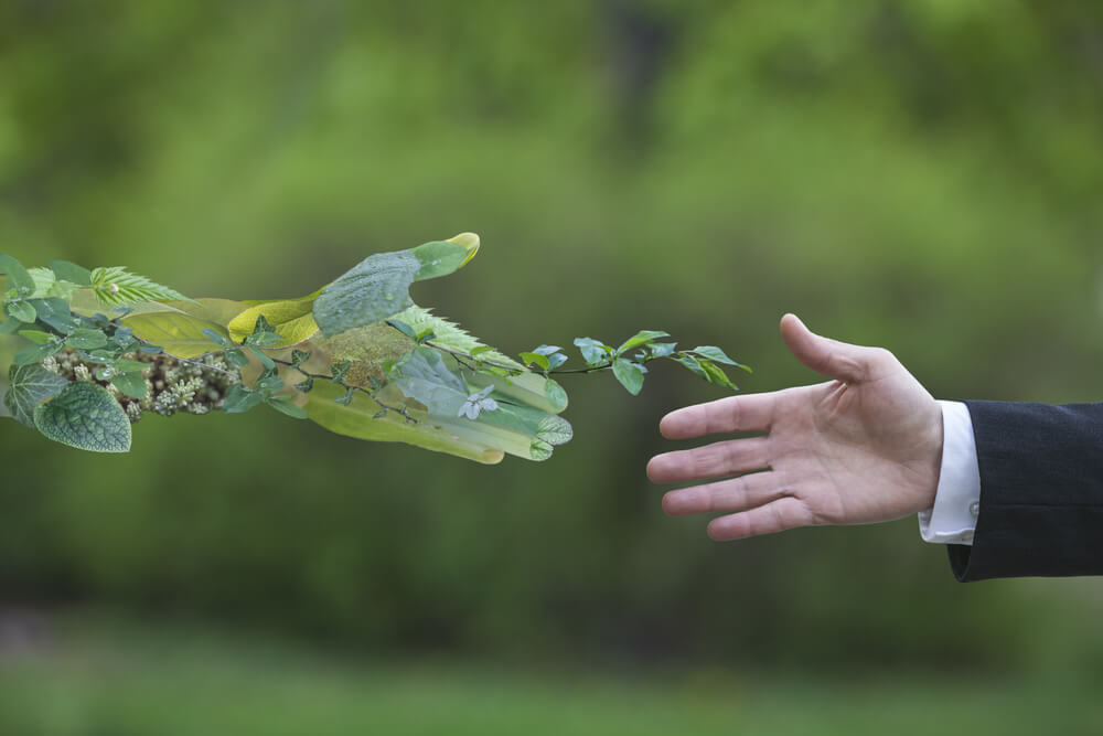 quando e onde surgiu o termo greenwashing