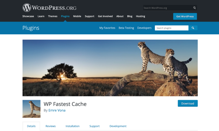 WP-Fastest-Cache-splash
