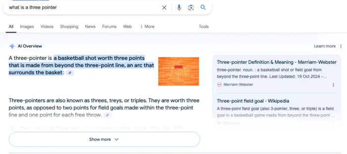 An AI over view result for what is a three pointer.