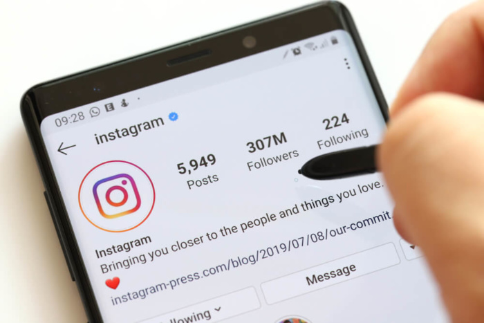Instagram Analytics: público
