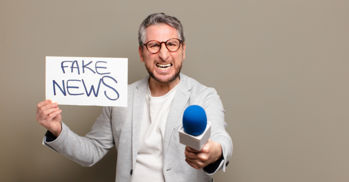 Lei das fake news