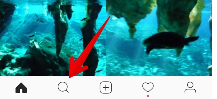 instagram-followers-increase29-1
