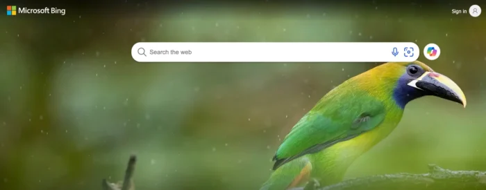 The Bing homepage.