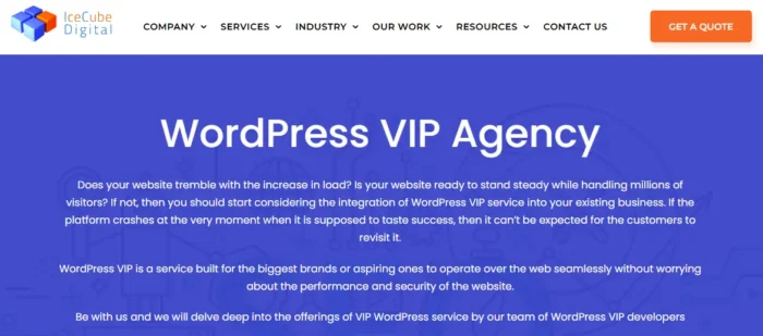 The Icecube Digital homepage.