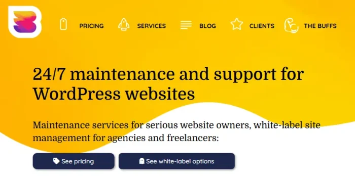 The WPBuffs homepage.