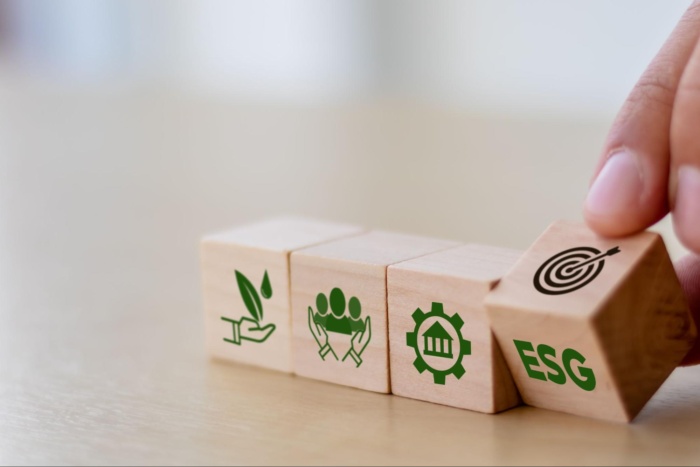 o que é esg