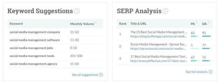 Keyword suggestions and SERP analysis from Moz. 