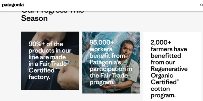 Patagonia's website.