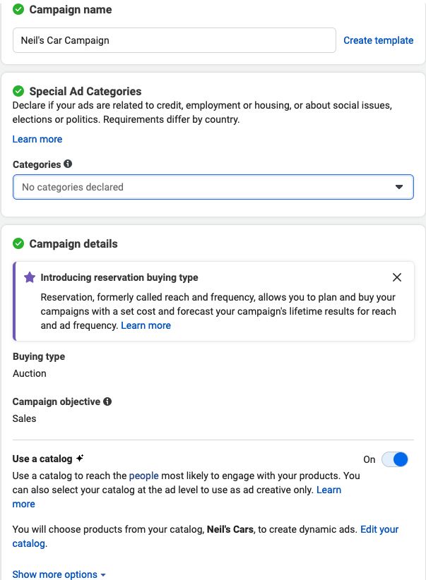 Setting up campaign details facebook ads.