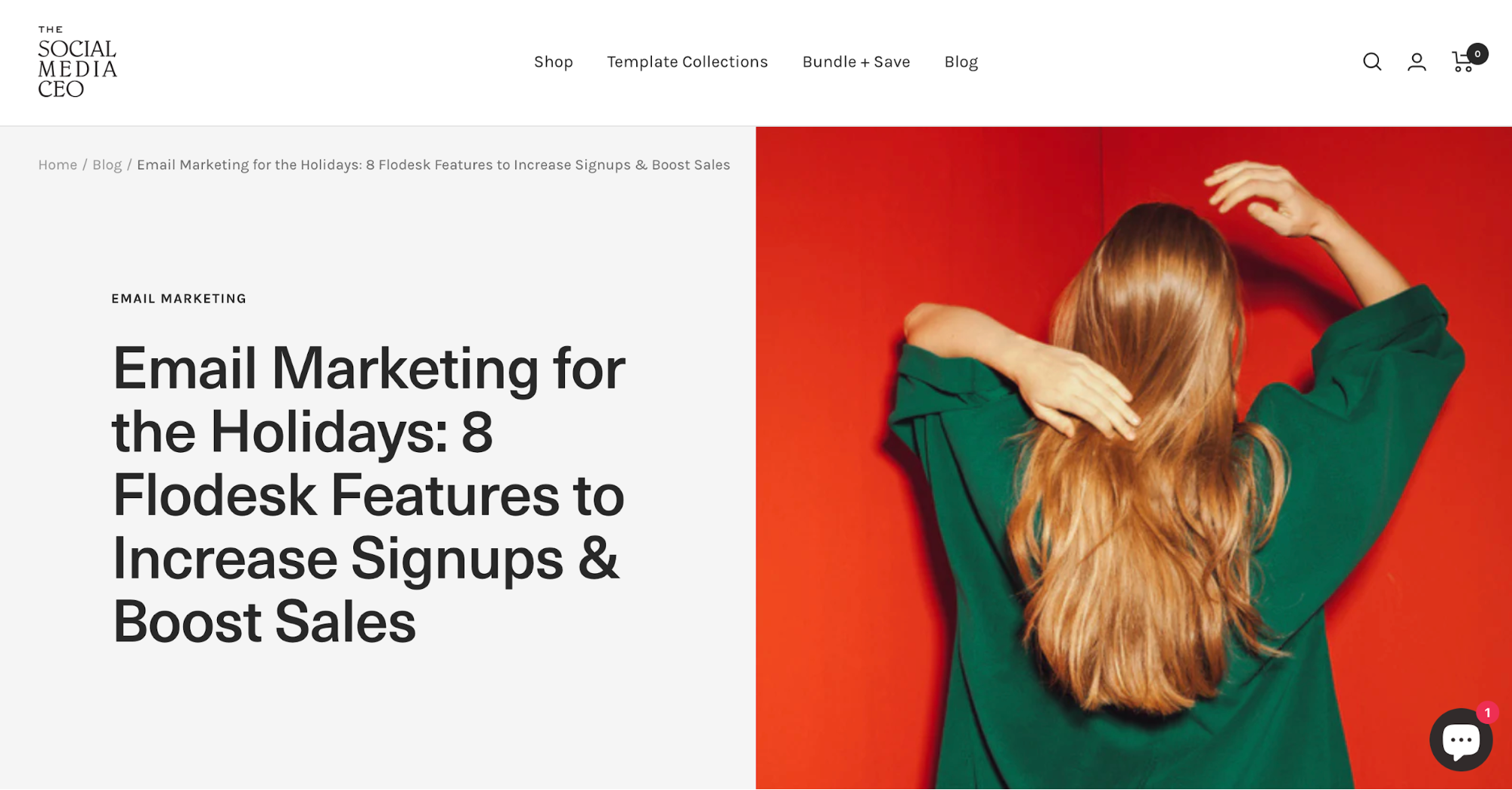 The Social Media CEO website with an article about email marketing for the holidays.