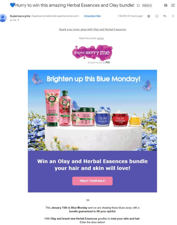 Super Savvy Me marketing email example FOMO marketing
