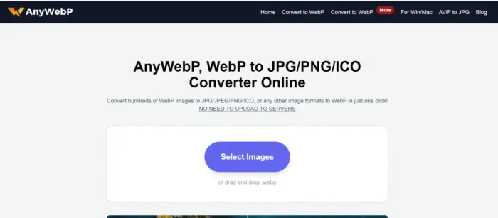 Any WebP Homepage