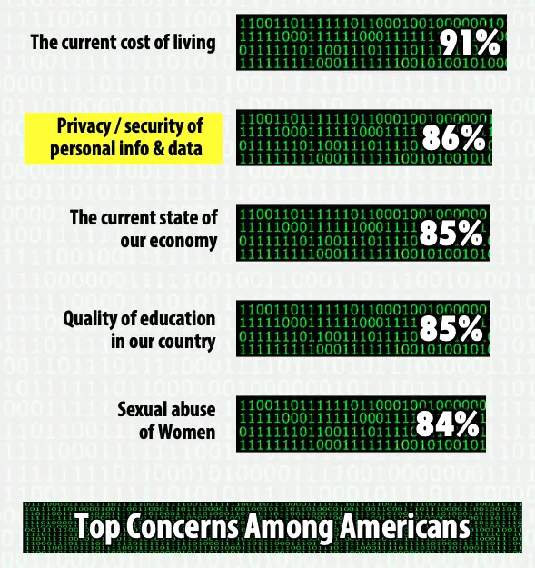 A bar graph showing the concerns of American consumers.
