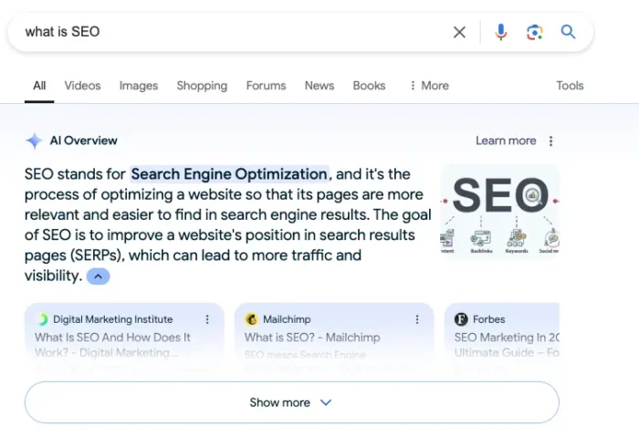 AI Overviews results for What is SEO.