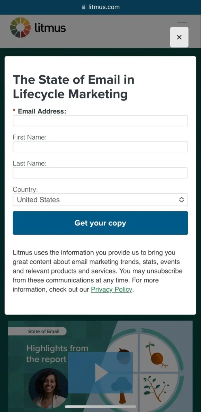 A signup form from Litmus.