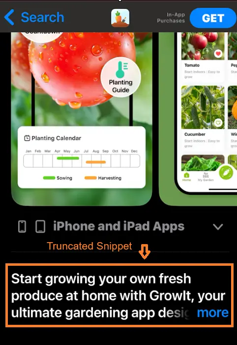 An app store description example.