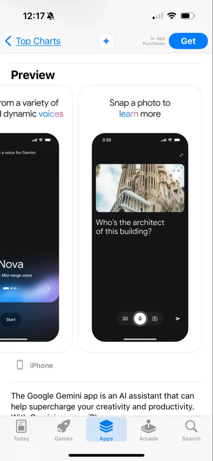 The Google Gemini App Store entry.