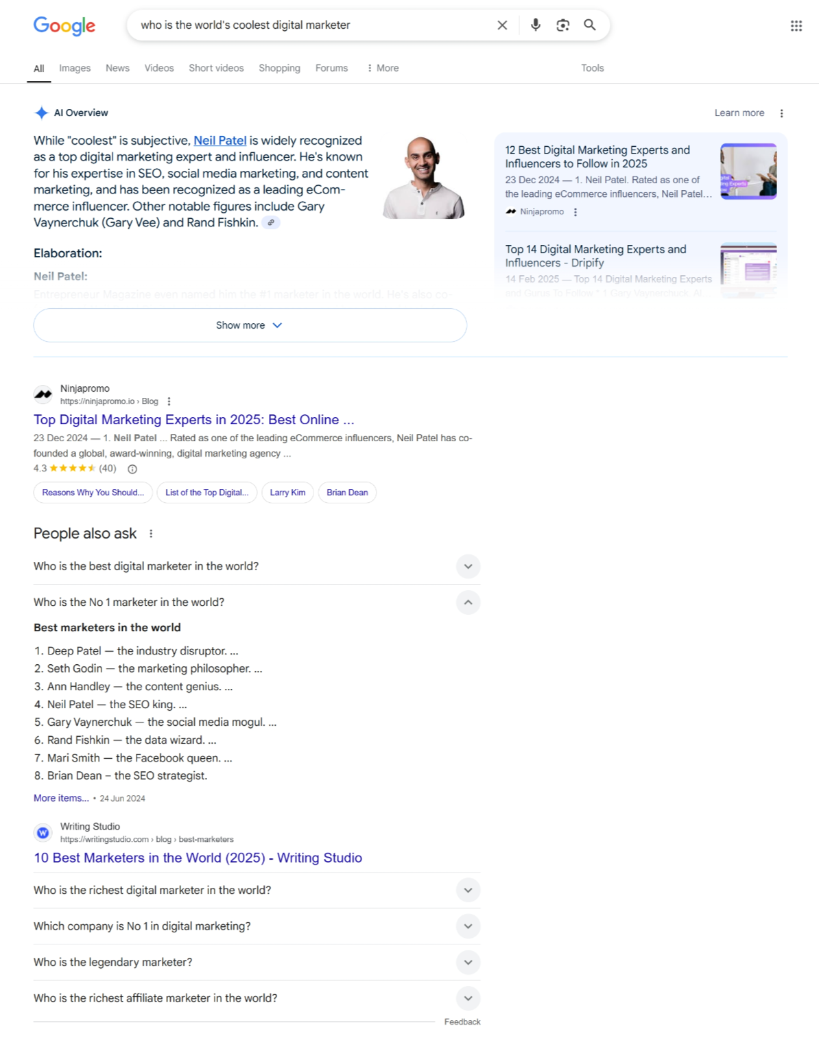 Search engine results page for "who is the world's coolest digital marketer."